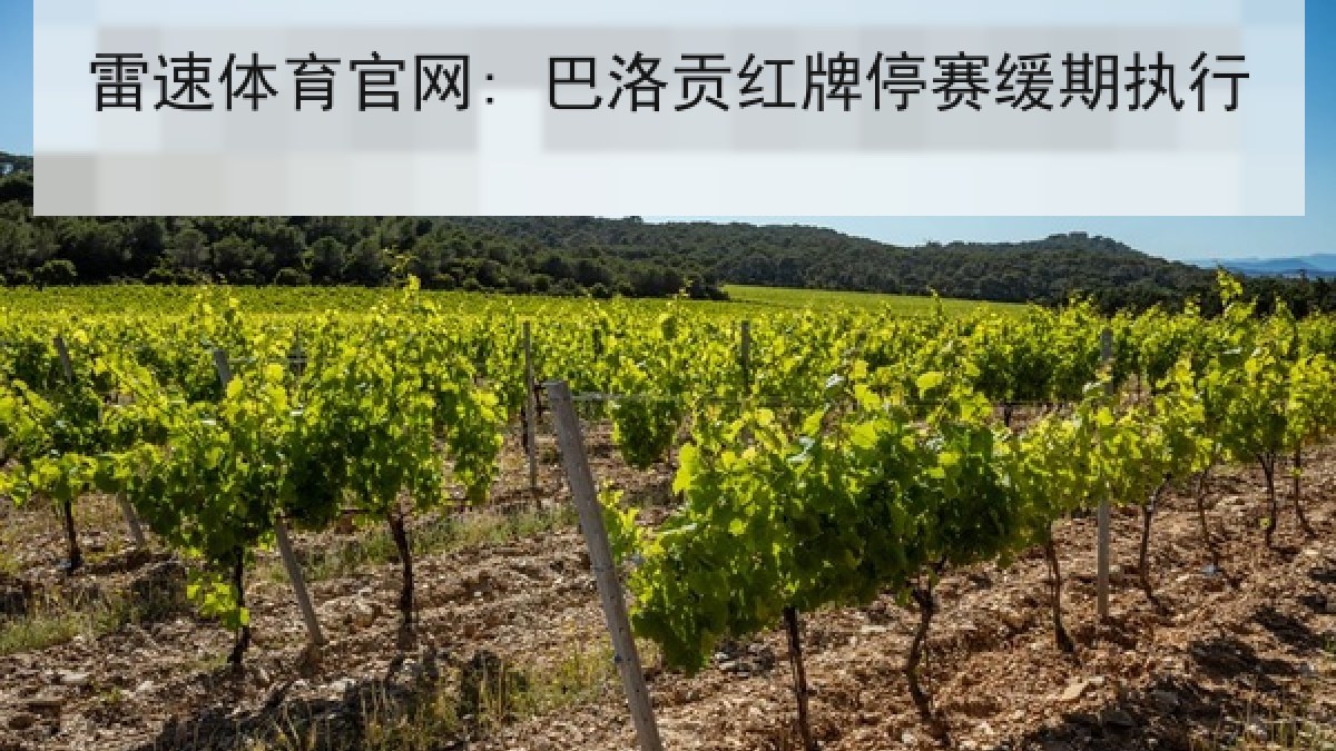 雷速体育官网: 巴洛贡红牌停赛缓期执行