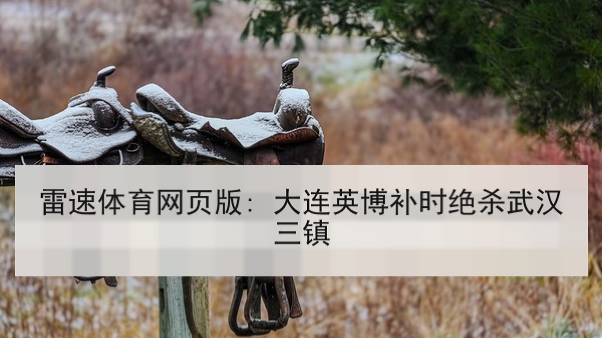 雷速体育网页版: 大连英博补时绝杀武汉三镇