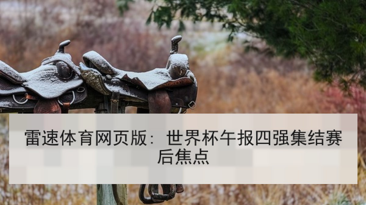 雷速体育网页版: 世界杯午报四强集结赛后焦点